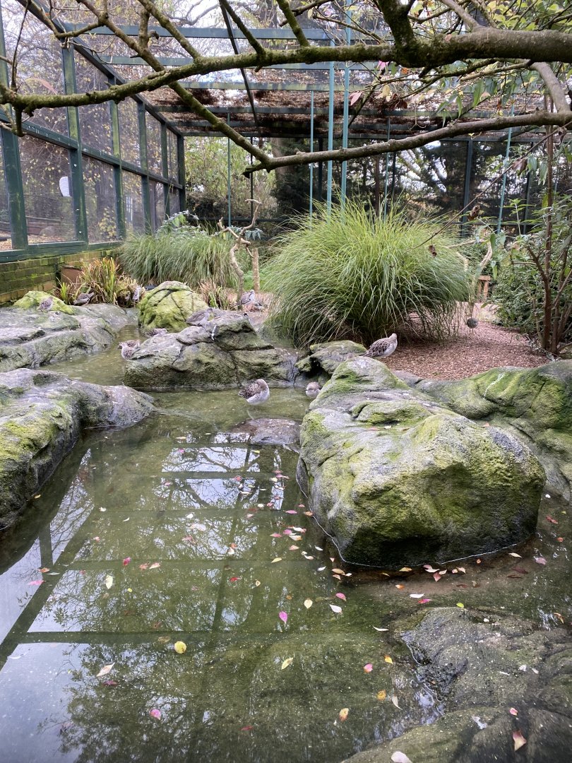 Cottage Aviary 201121