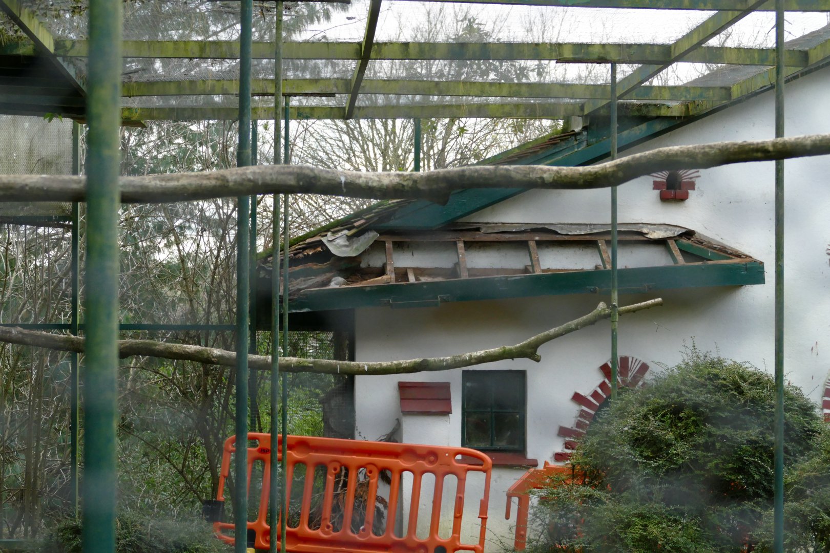 Cottage Aviary, December 2017