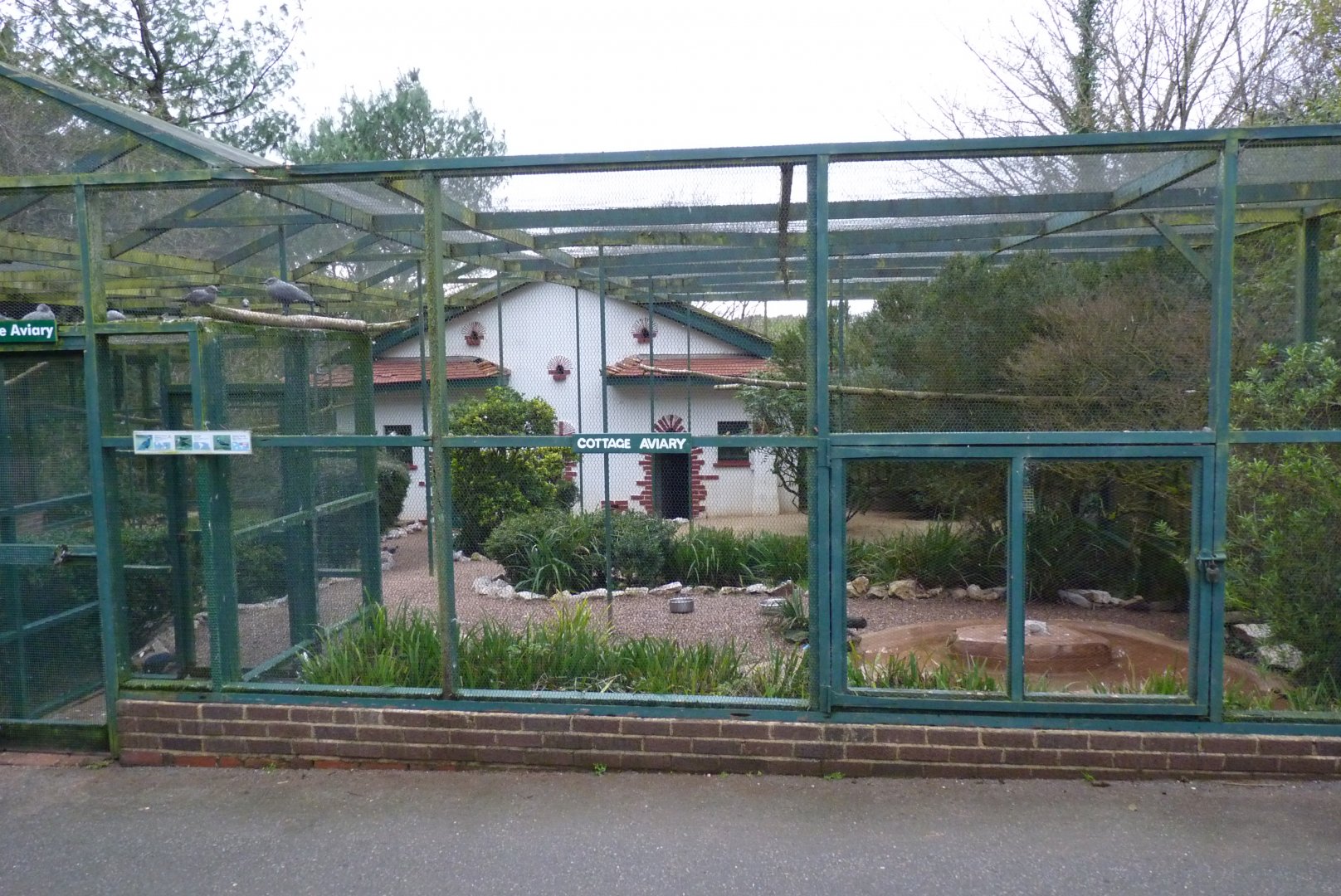 Cottage Aviary, January 2017