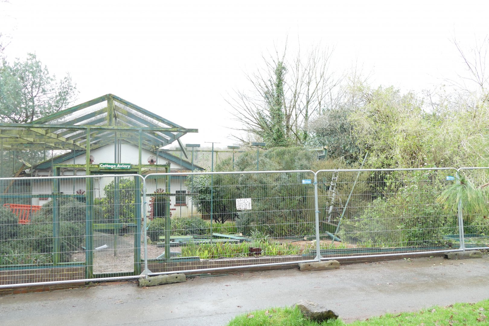 Cottage Aviary, January 2018