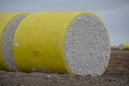 Cotton bale.  Each bale is approx. 2.4metres (8foot) across.