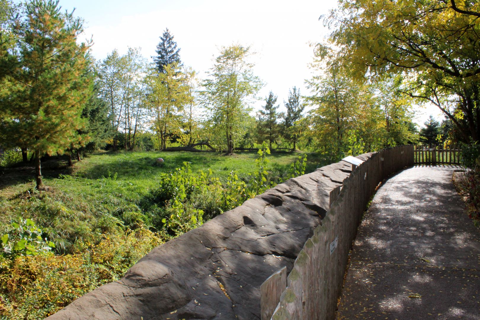 Cotton Family Wolf Wilderness