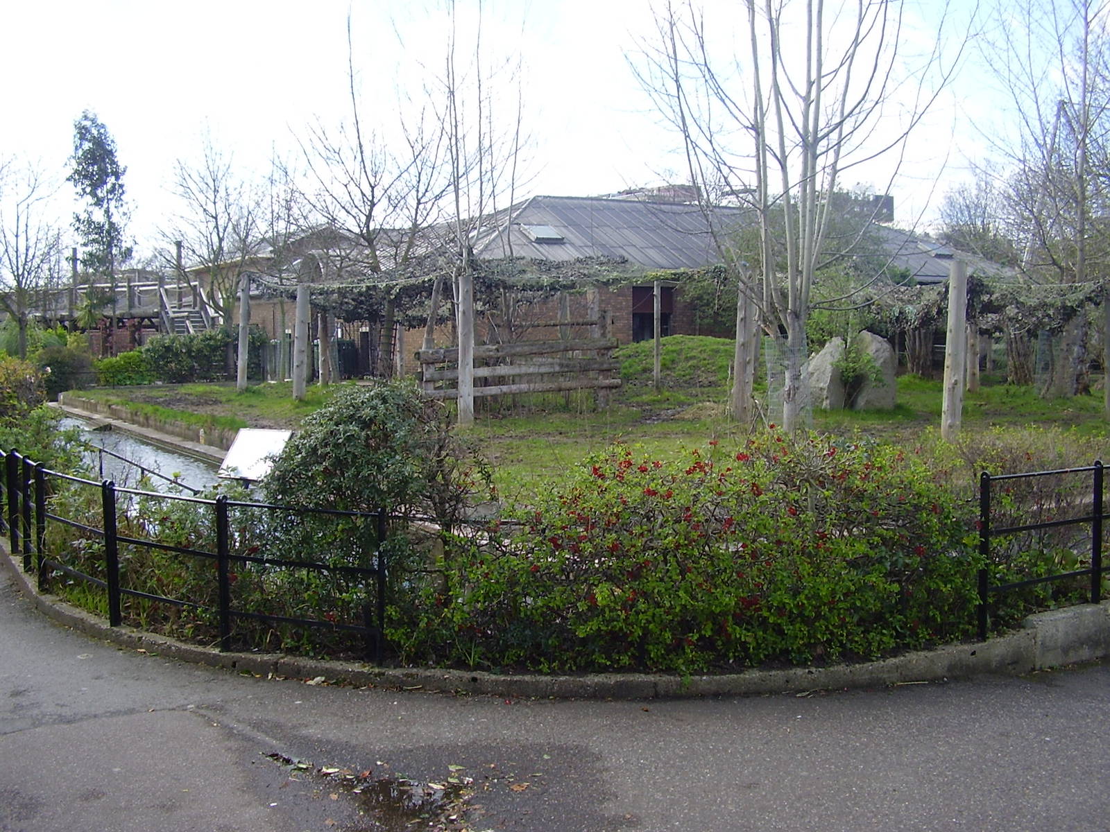 Cotton Terraces - Malayan tapir enclosure