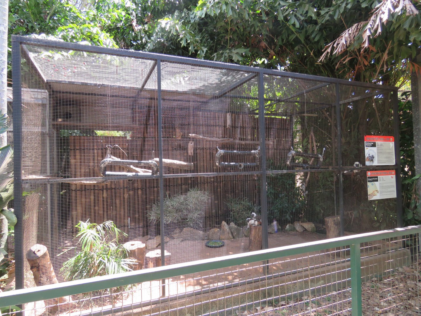 Cotton Top Tamarin and Elongated Tortoise Exhibit