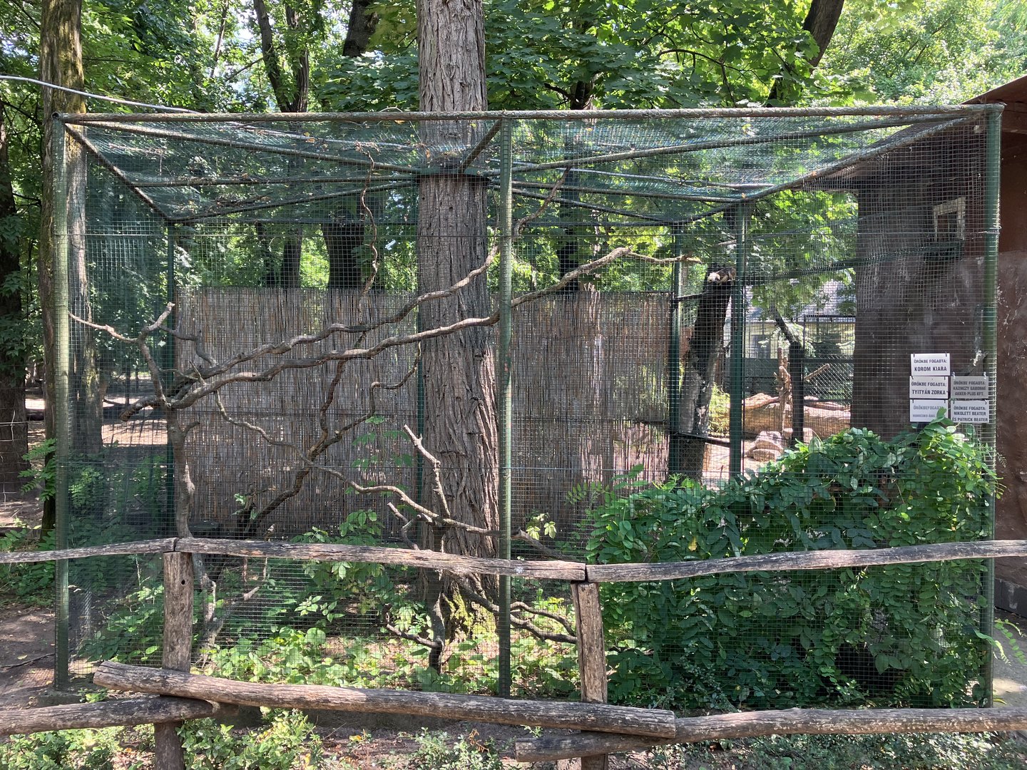 Cotton-top tamarin cage