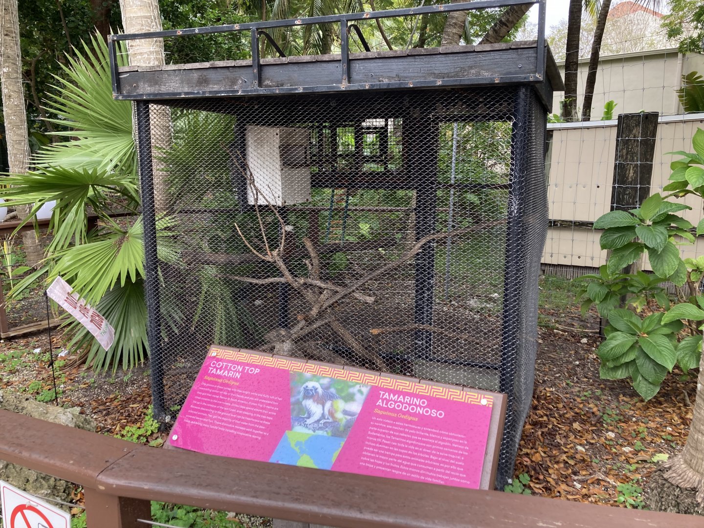 Cotton Top Tamarin Cage