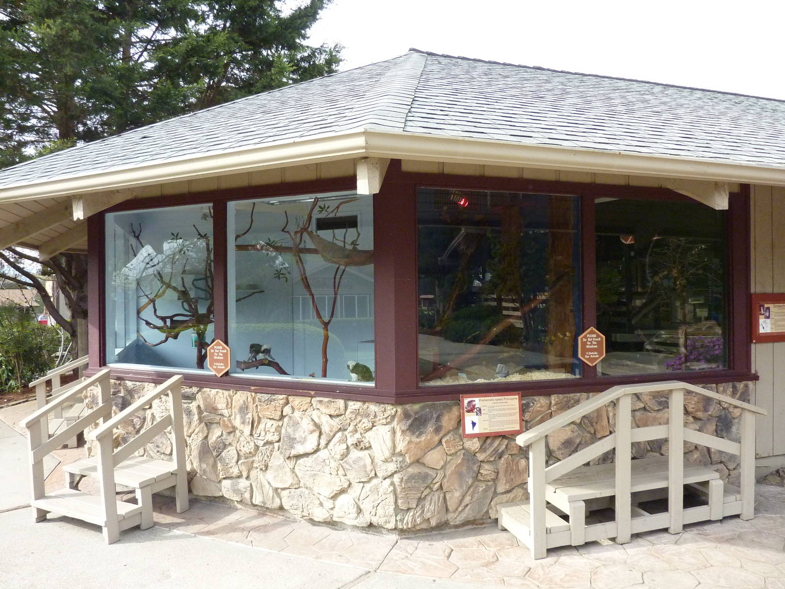 Cotton Top Tamarin/Coendou Exhibits