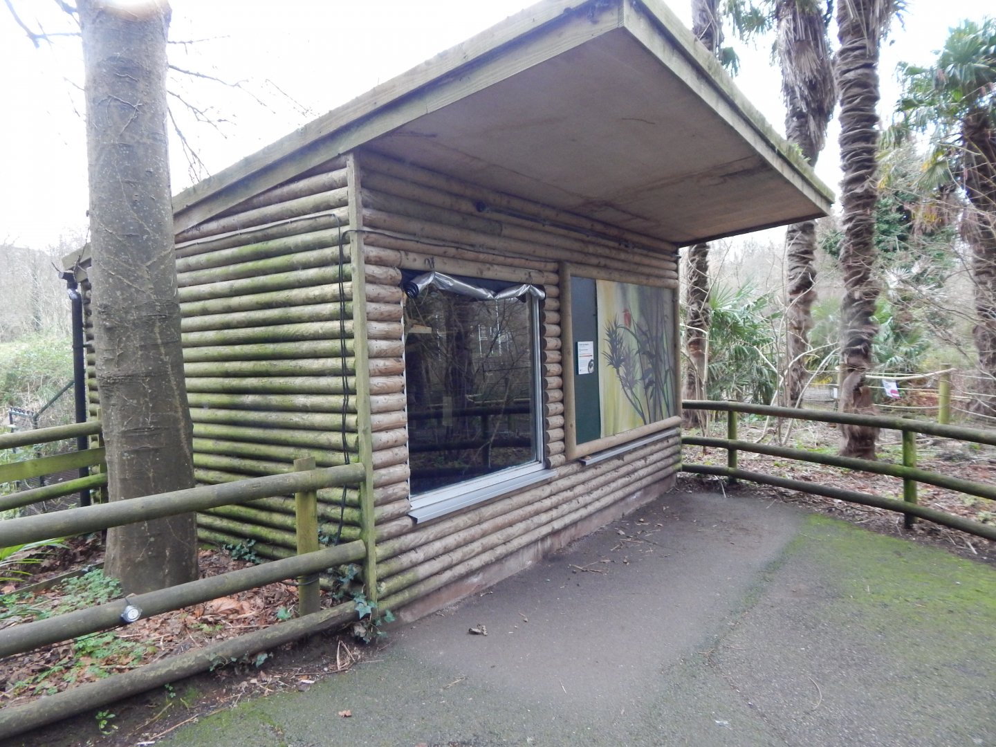 Cotton-top tamarin enclosure 050224
