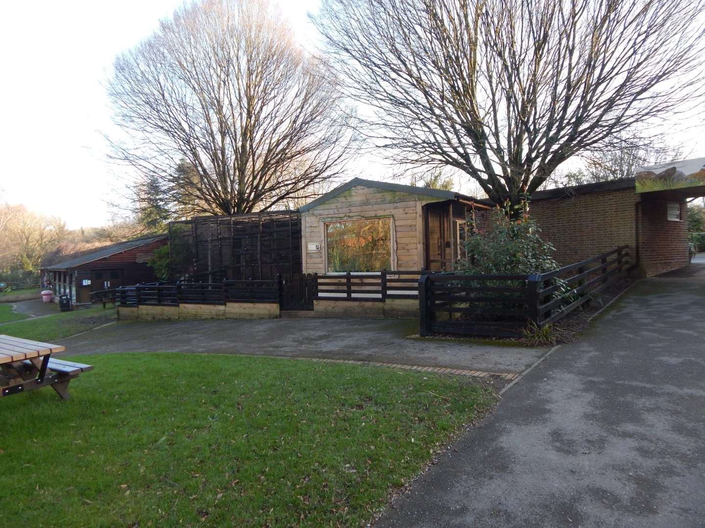 Cotton-top tamarin enclosure 260124