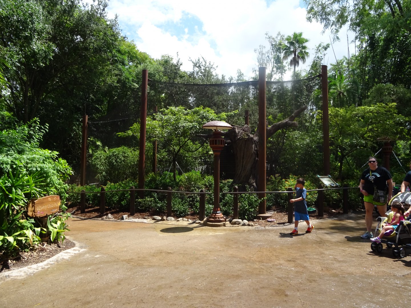 Cotton-top Tamarin Enclosure at Disney's Animal Kingdom (2014)