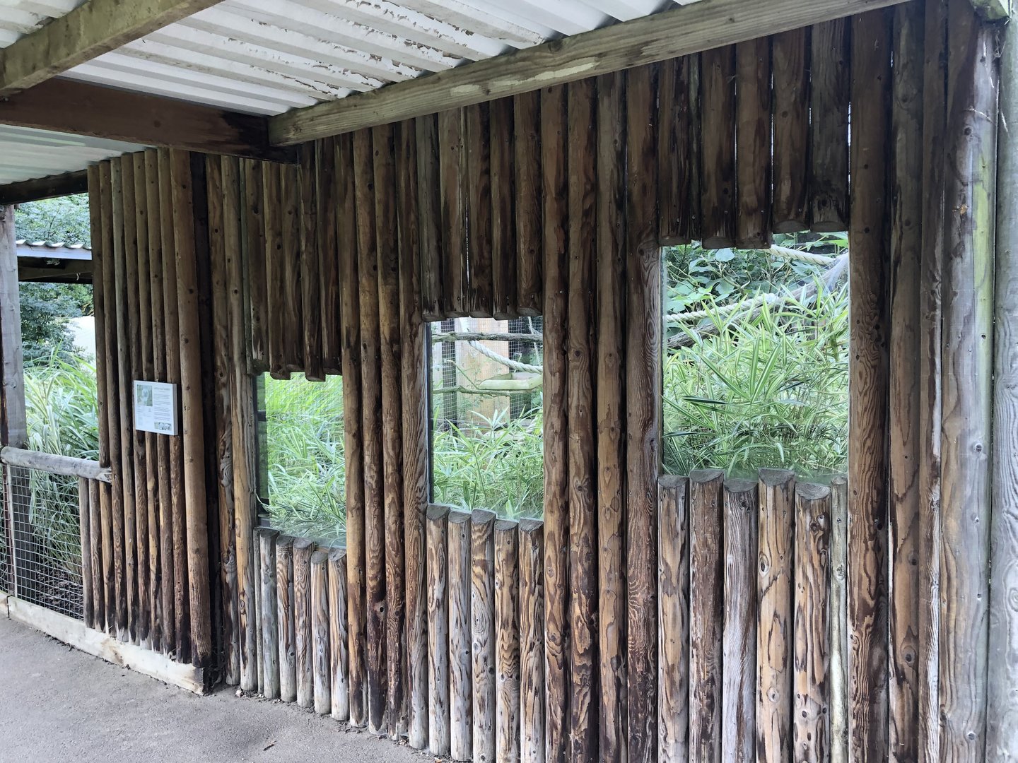 Cotton-top Tamarin Enclosure at Hamerton Zoo Park (October 2023)