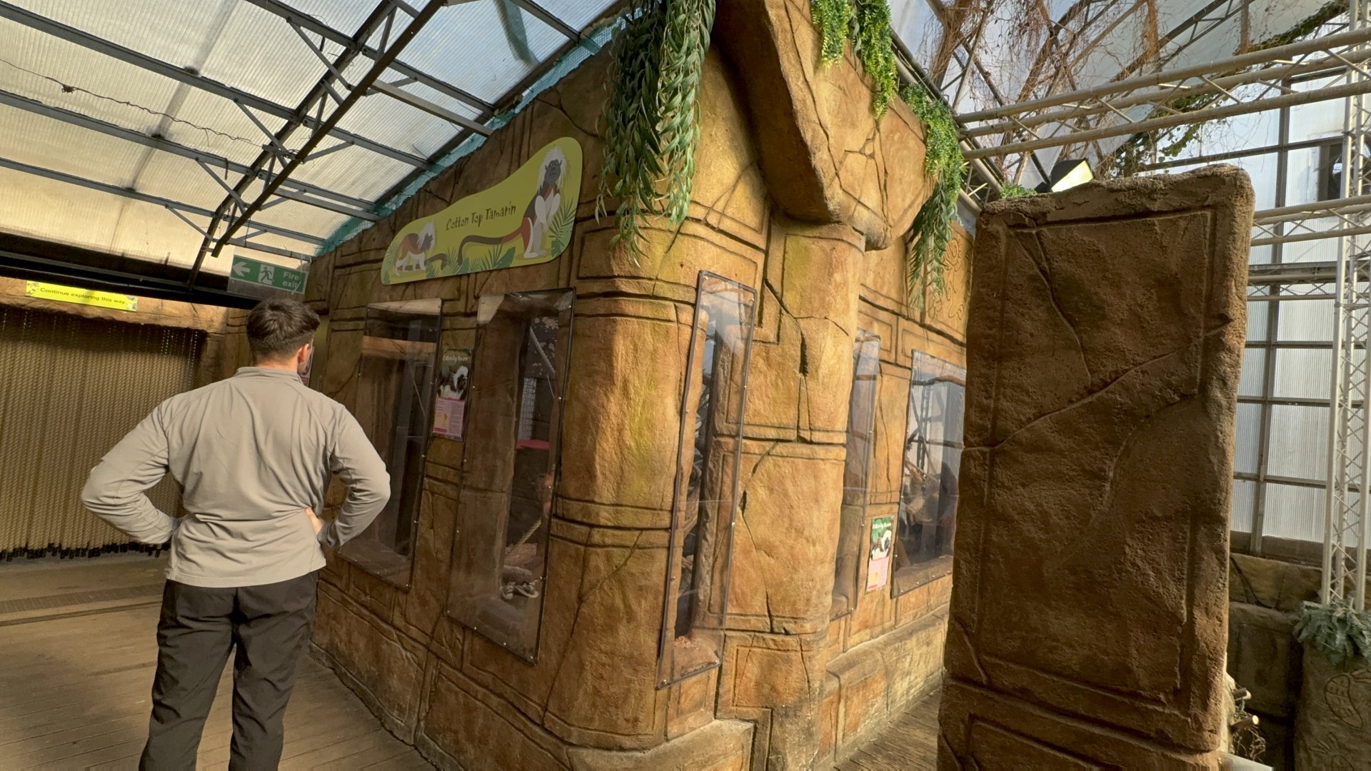 Cotton-top Tamarin Enclosure at Tropical World (October 2024)