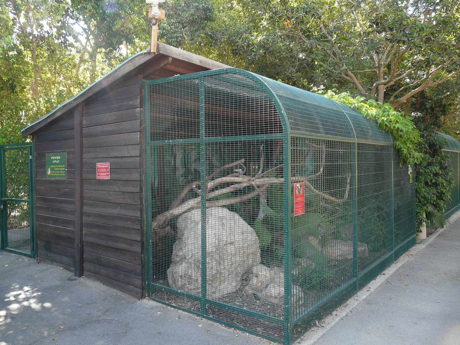 Cotton-top tamarin enclosure