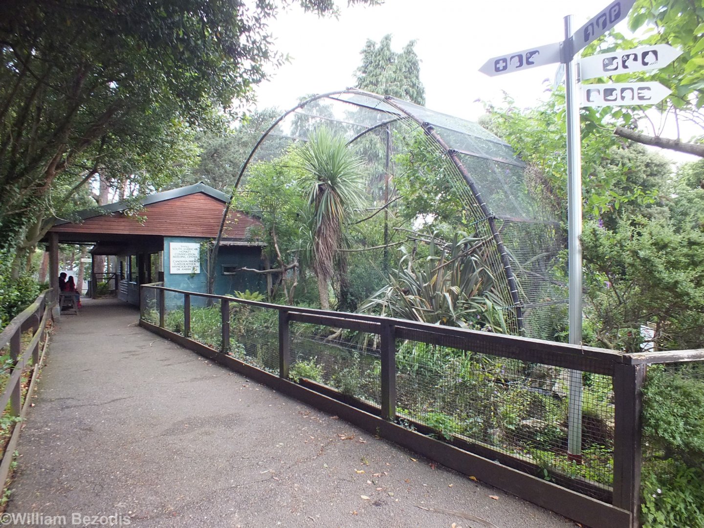 Cotton Top Tamarin Enclosure
