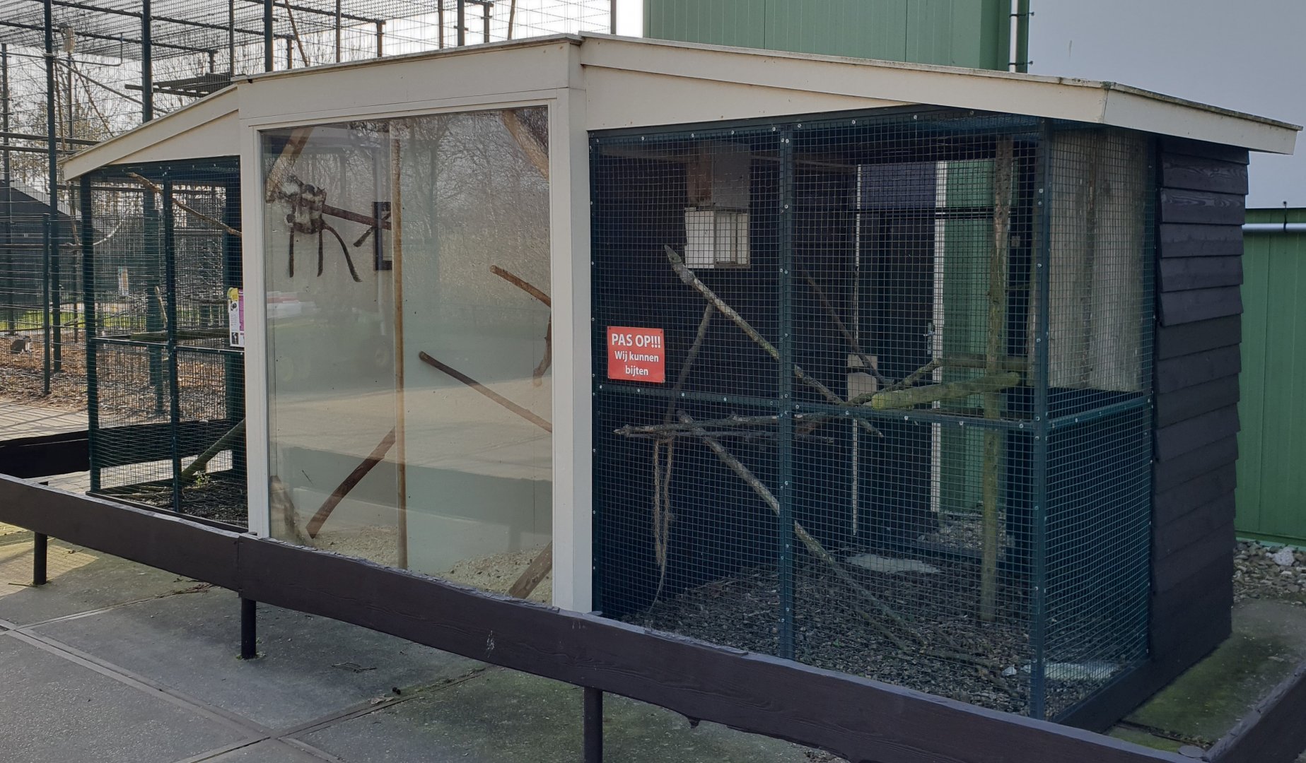 Cotton-top tamarin enclosure