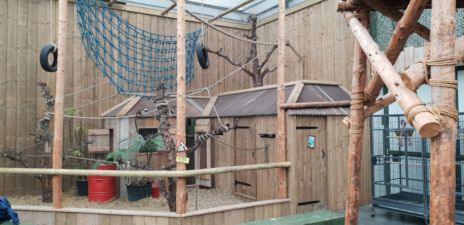 Cotton-top tamarin enclosure