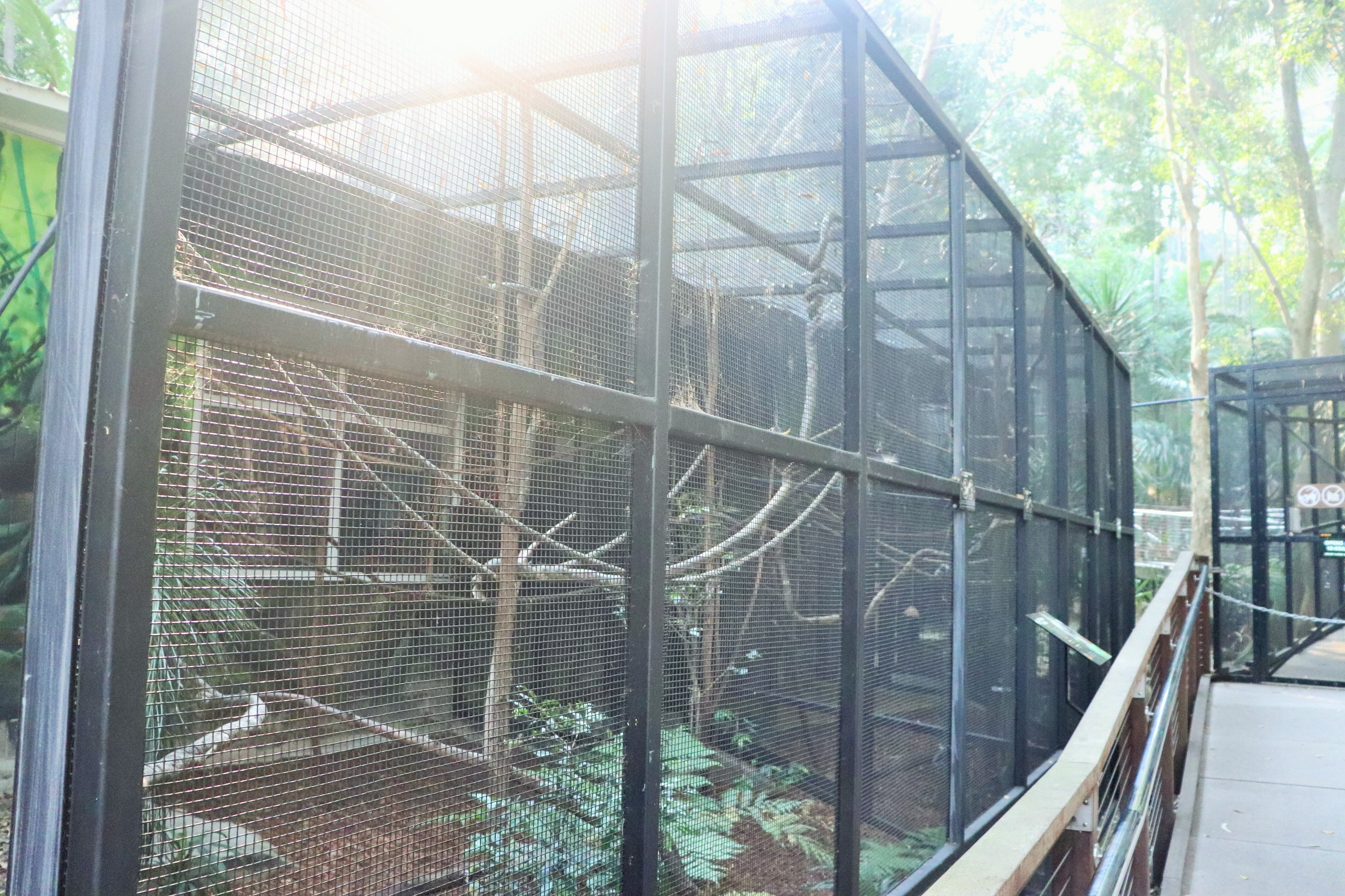 Cotton-top Tamarin Enclosure