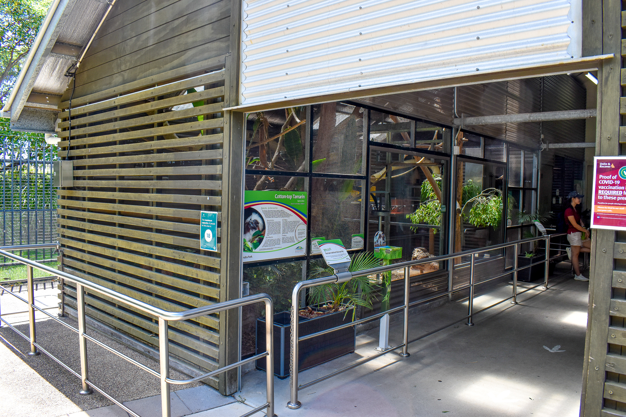Cotton-top Tamarin Enclosure