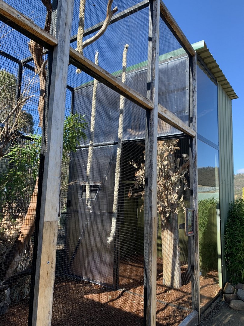 Cotton Top Tamarin Enclosure