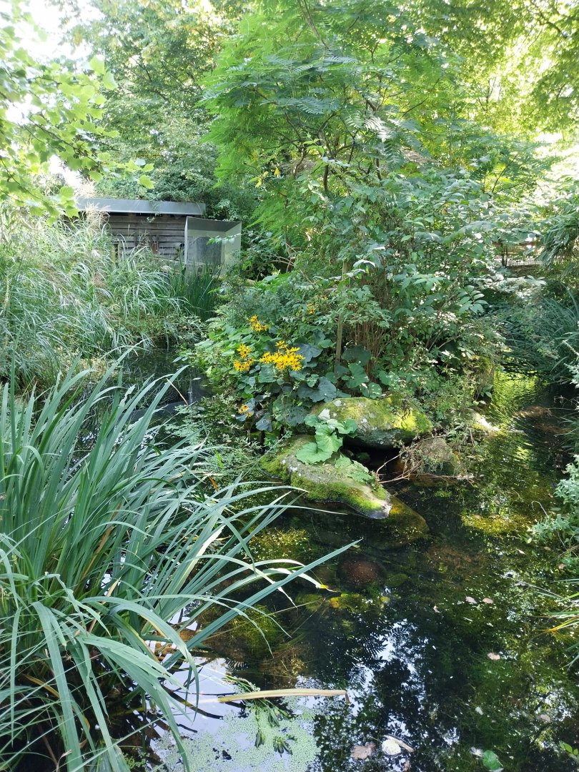 Cotton-top tamarin enclosure