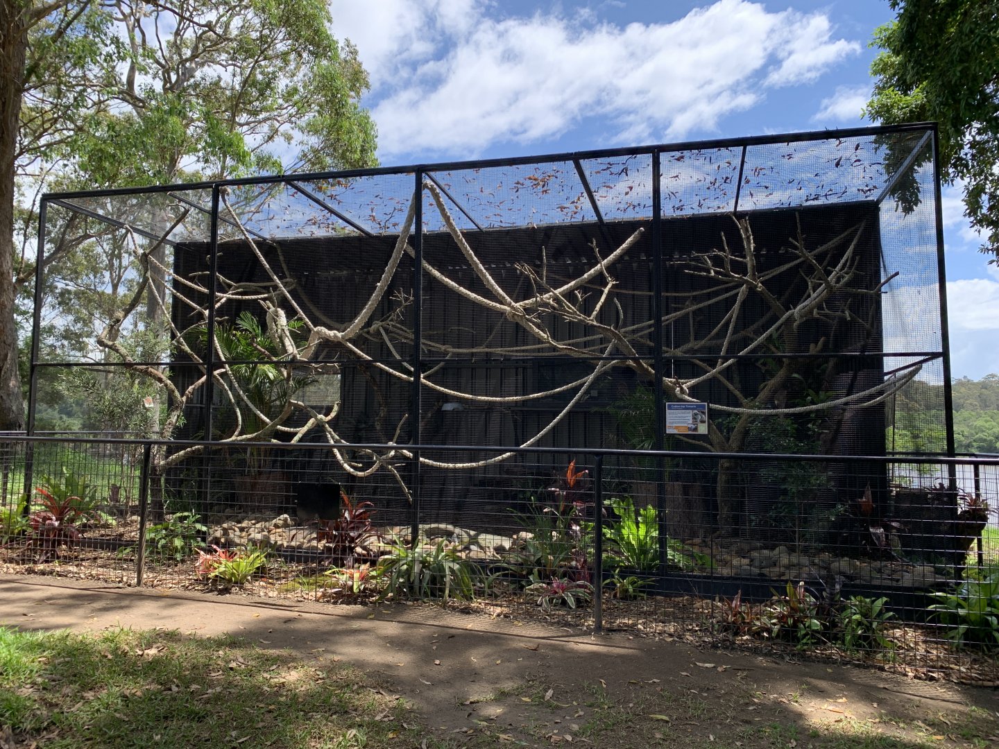 Cotton-top Tamarin Enclosure