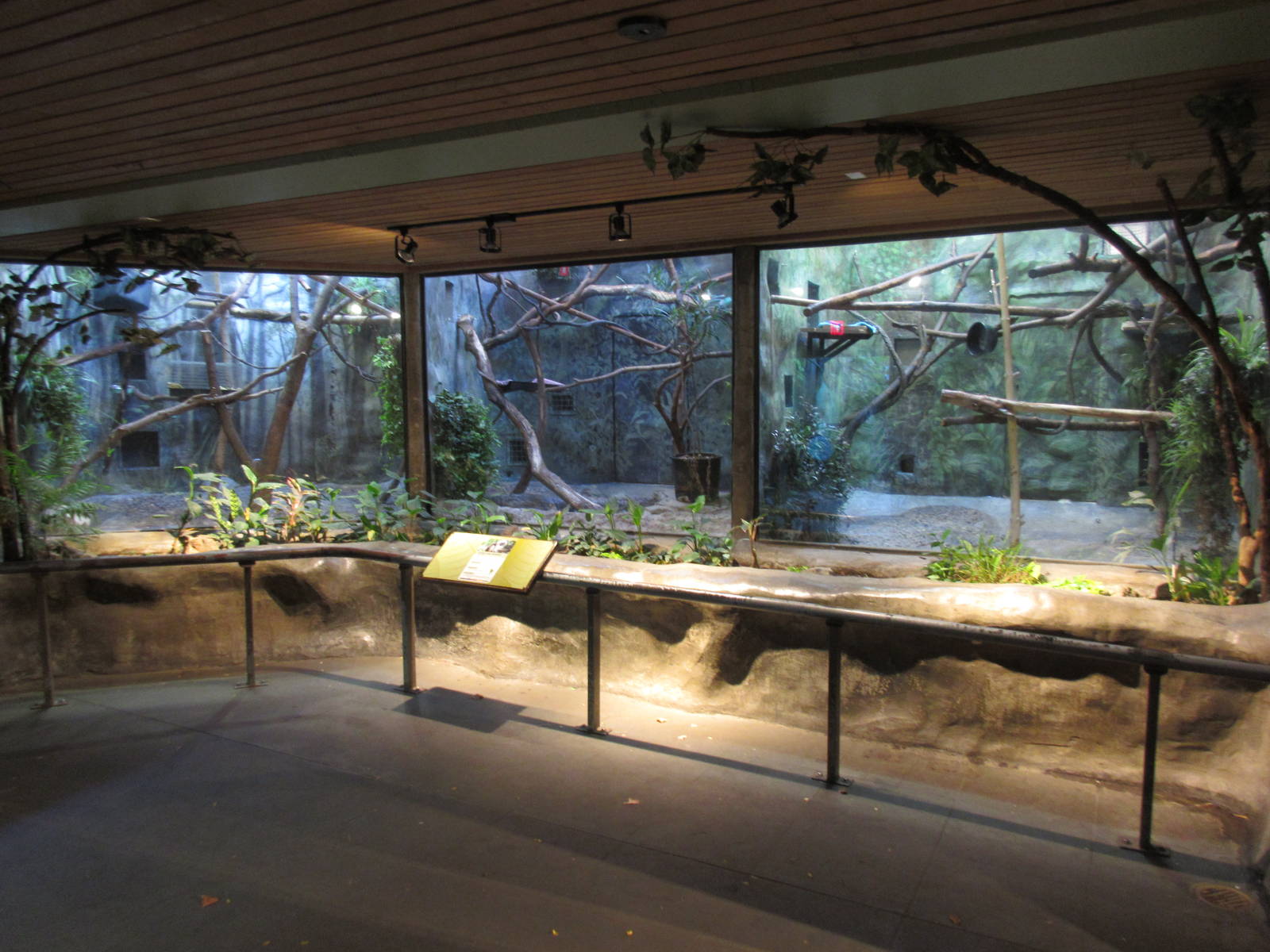 Cotton-Top Tamarin Exhibit (all 3 enclosures are connected)