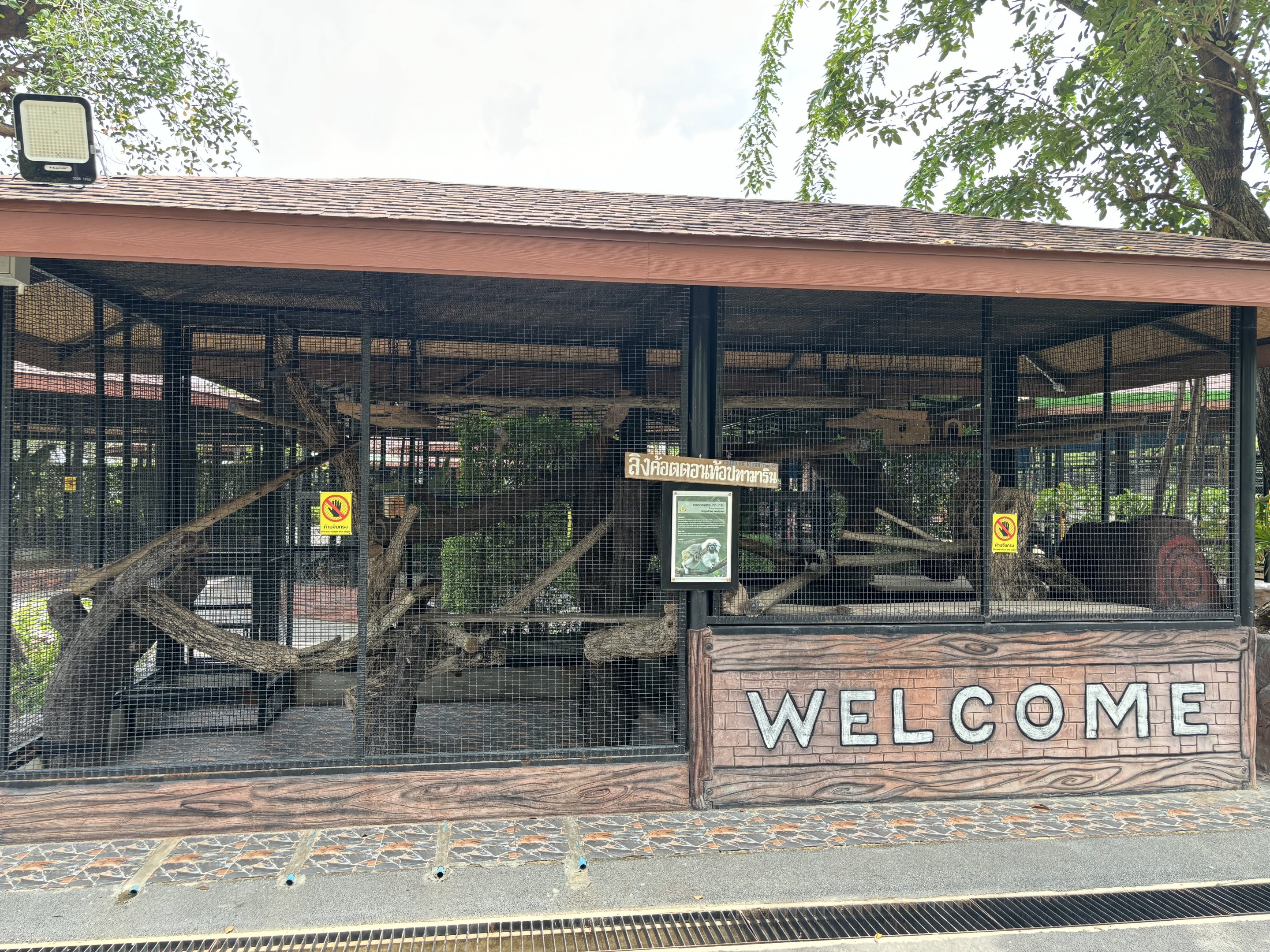 Cotton-top Tamarin Exhibit - Lion Park