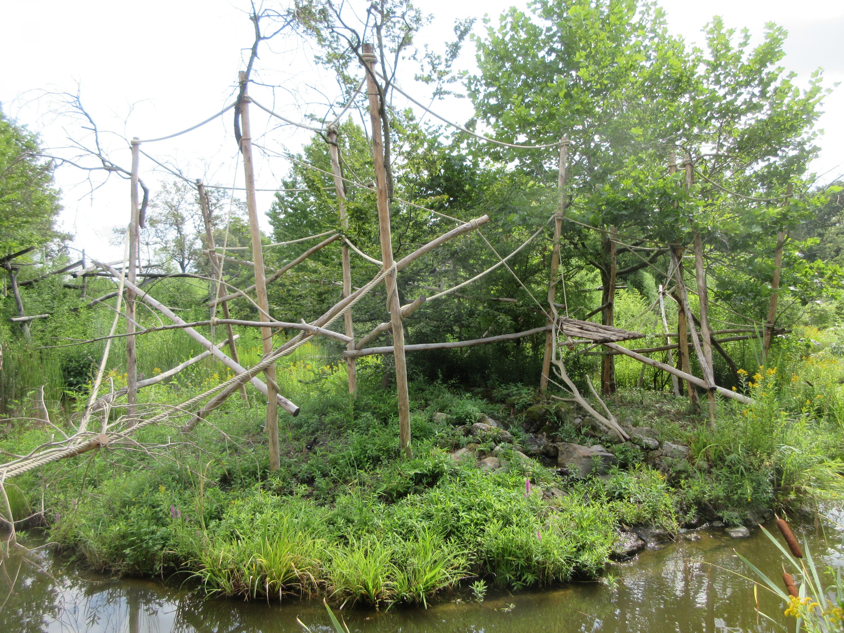 Cotton-top Tamarin Exhibit (New in 2019)