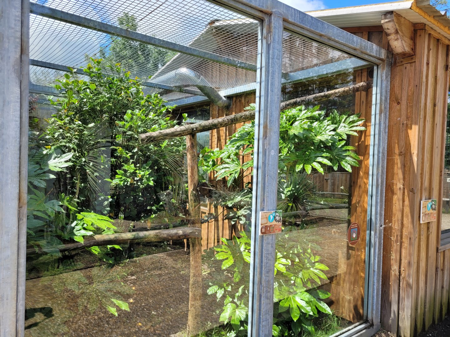 Cotton-top tamarin exhibit -Zoo du bassin d'Arcachon (2024)