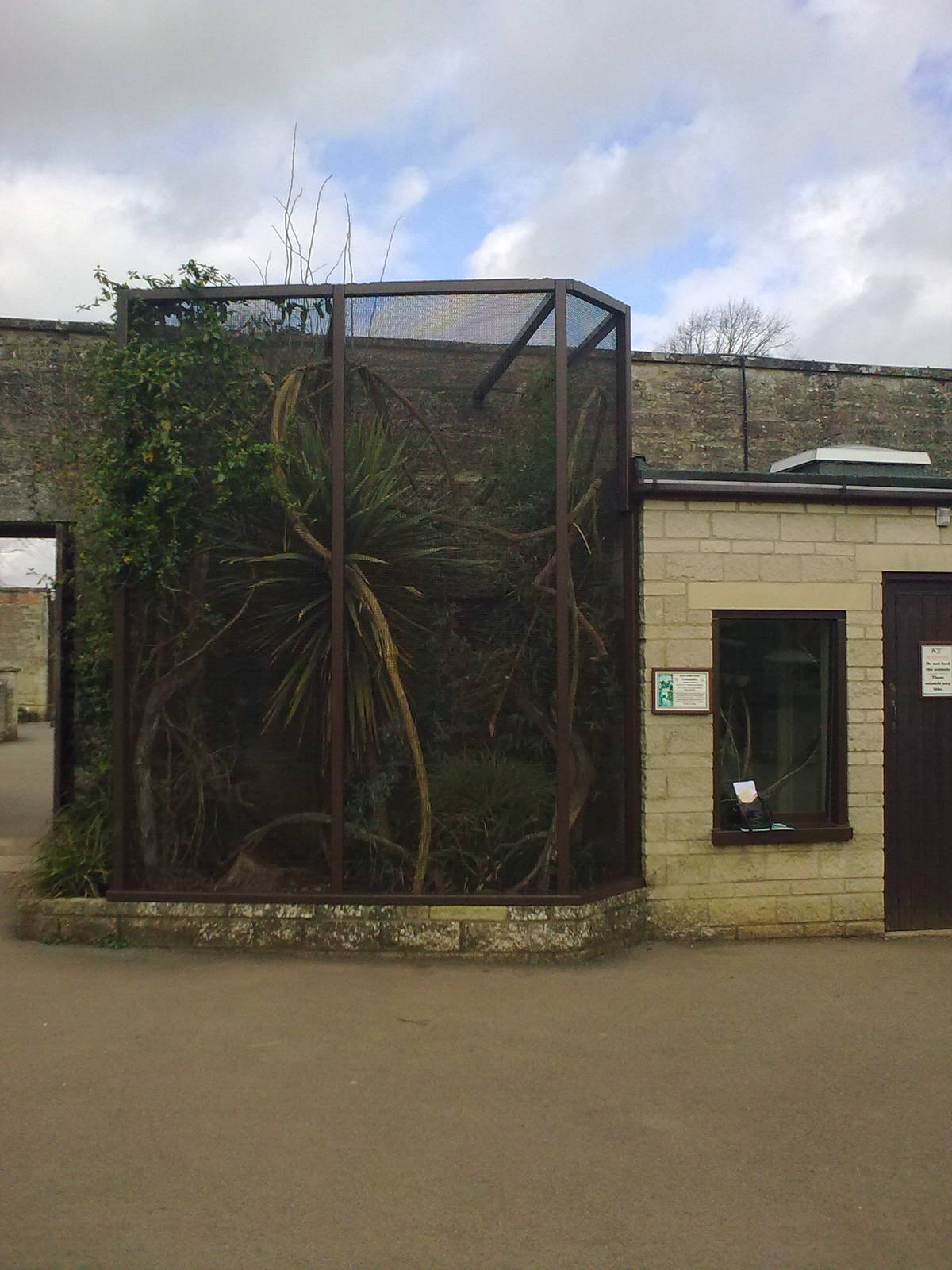 Cotton-top Tamarin Exhibit