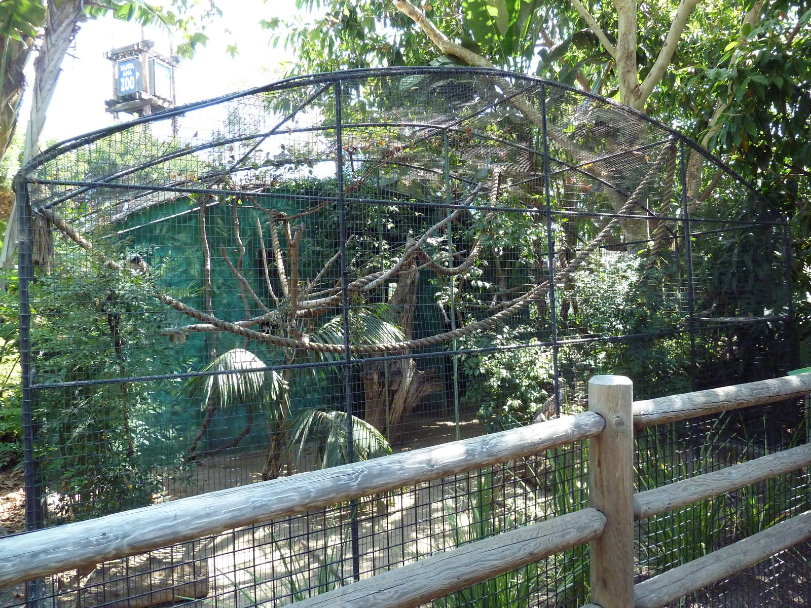 Cotton-Top Tamarin Exhibit