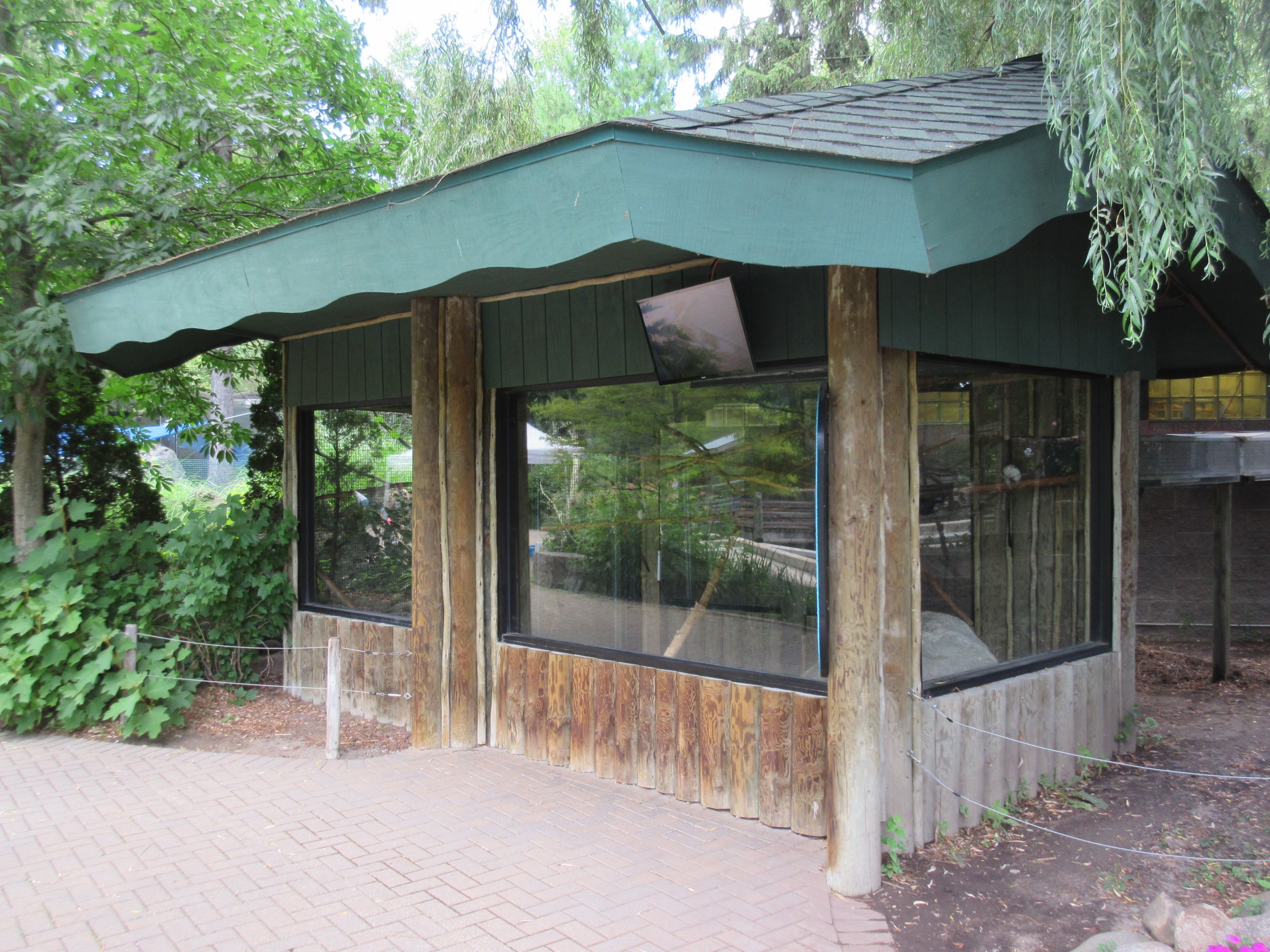 Cotton-top Tamarin Exhibit