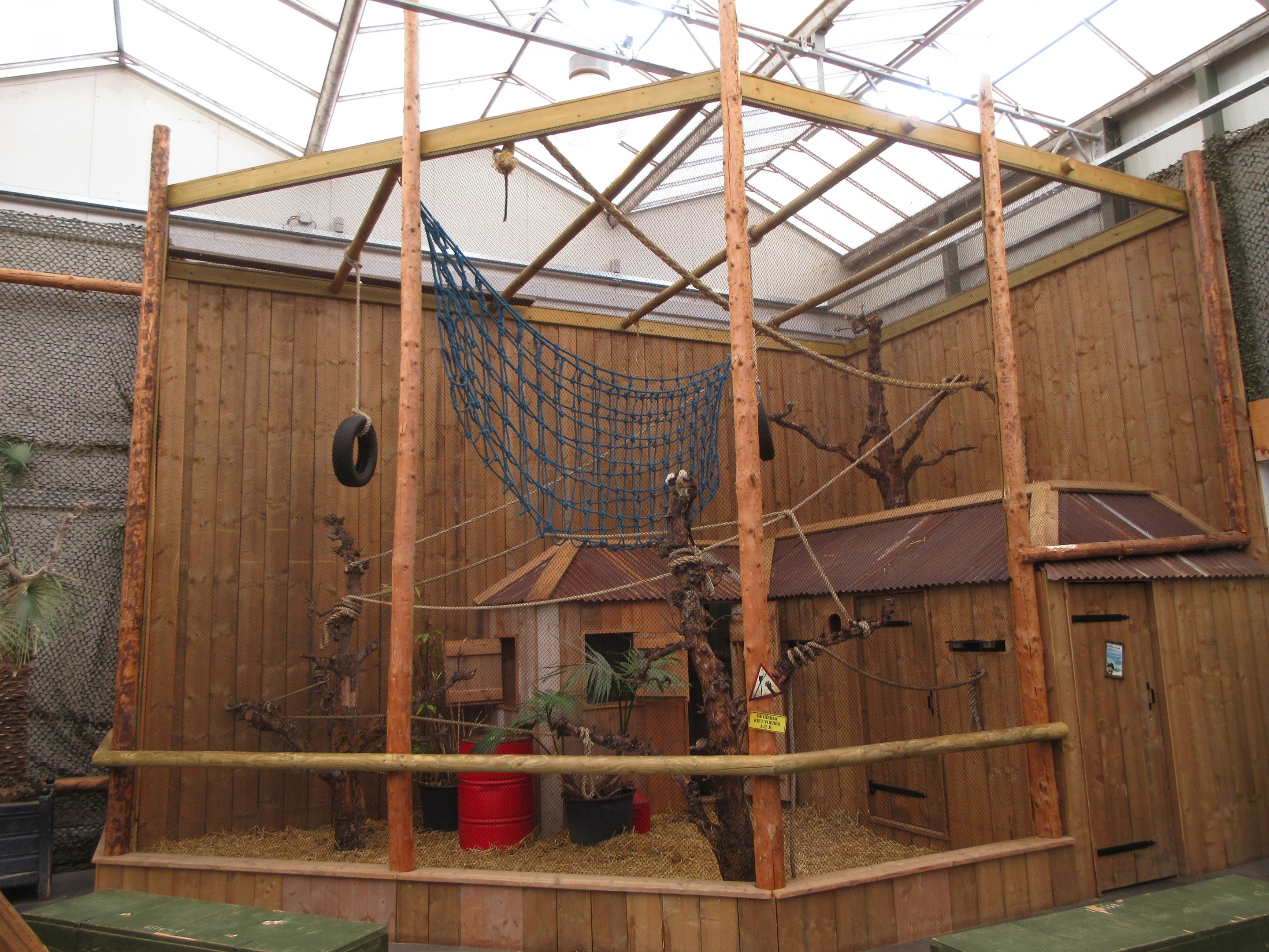 Cotton-top Tamarin Exhibit