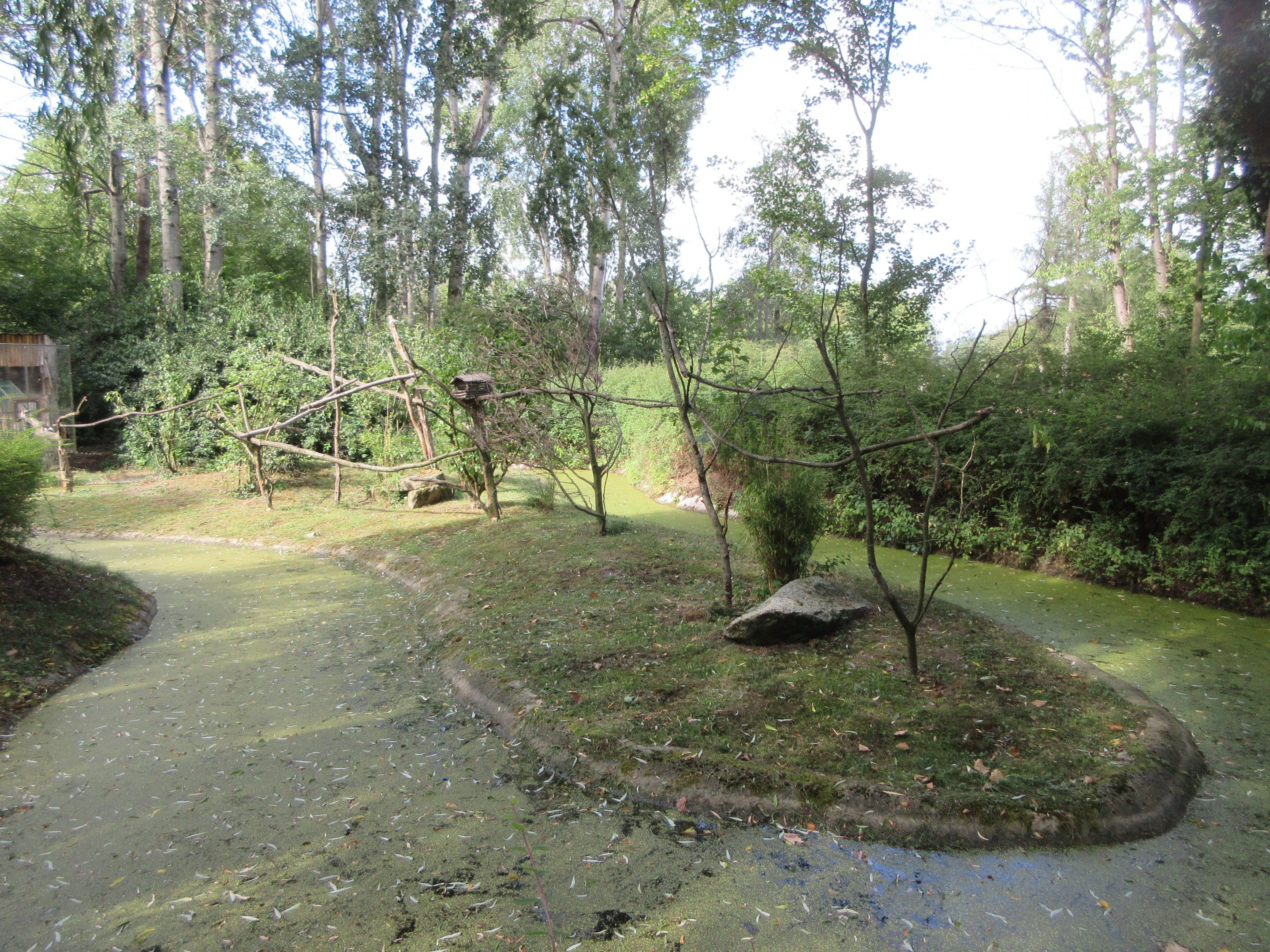Cotton-top Tamarin Exhibit