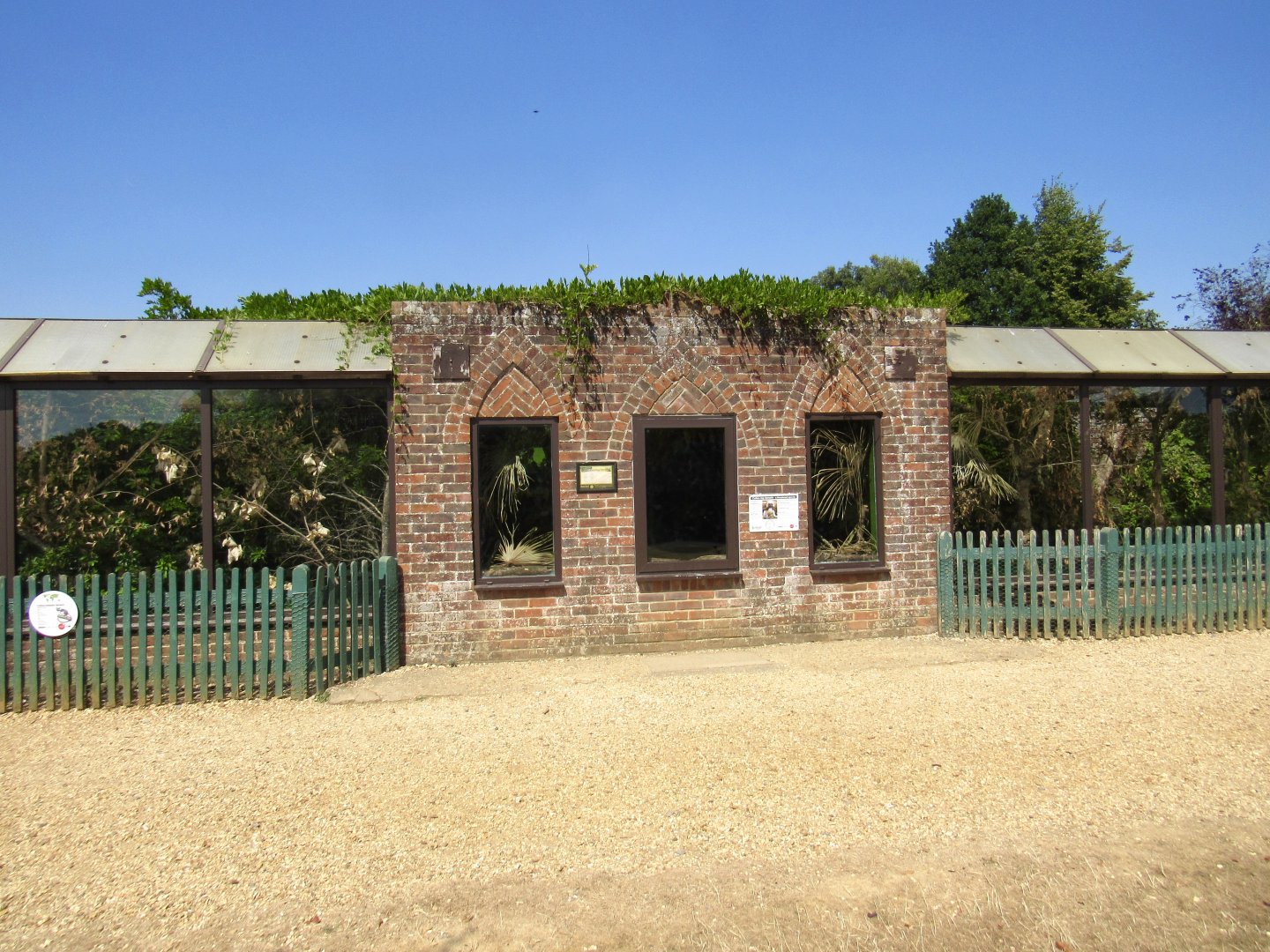 Cotton-Top Tamarin Exhibit