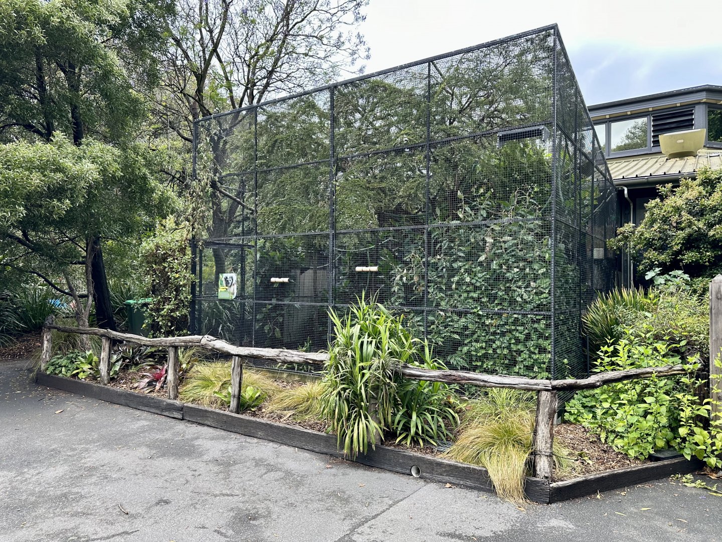 Cotton-top Tamarin Exhibit