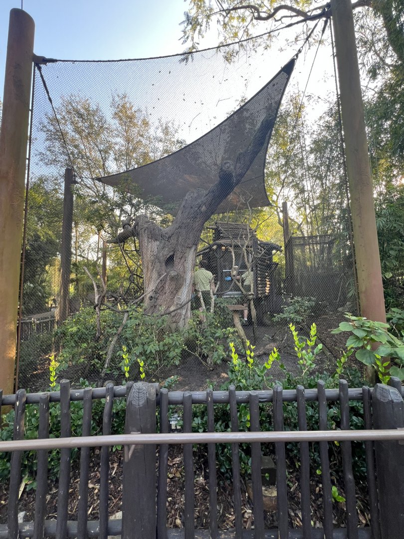 Cotton-Top Tamarin Exhibit