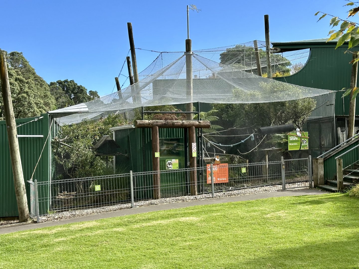 Cotton-top Tamarin Exhibit