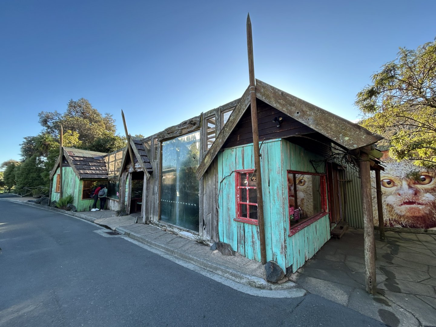Cotton-top Tamarin & Golden Lion Tamarin Exhibits