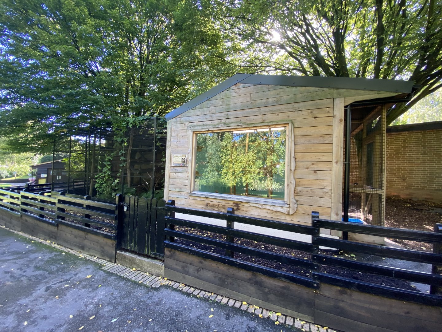 Cotton top tamarin house and enclosure