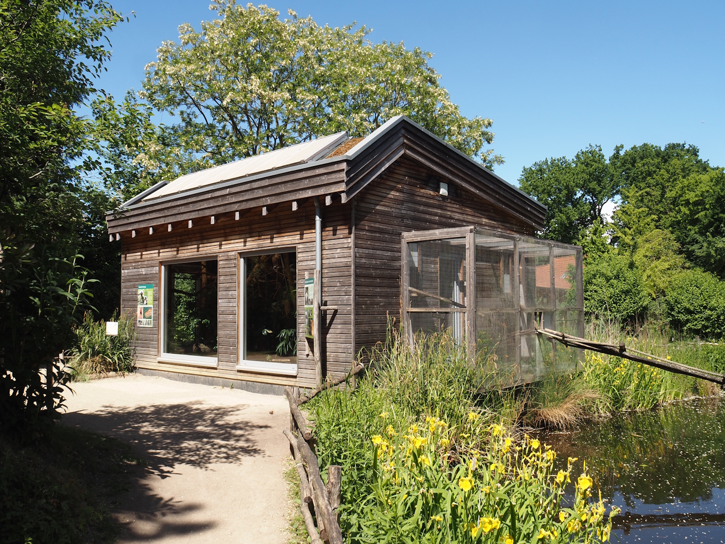 Cotton-top tamarin house, cage and bridge to island, 2025-05-22