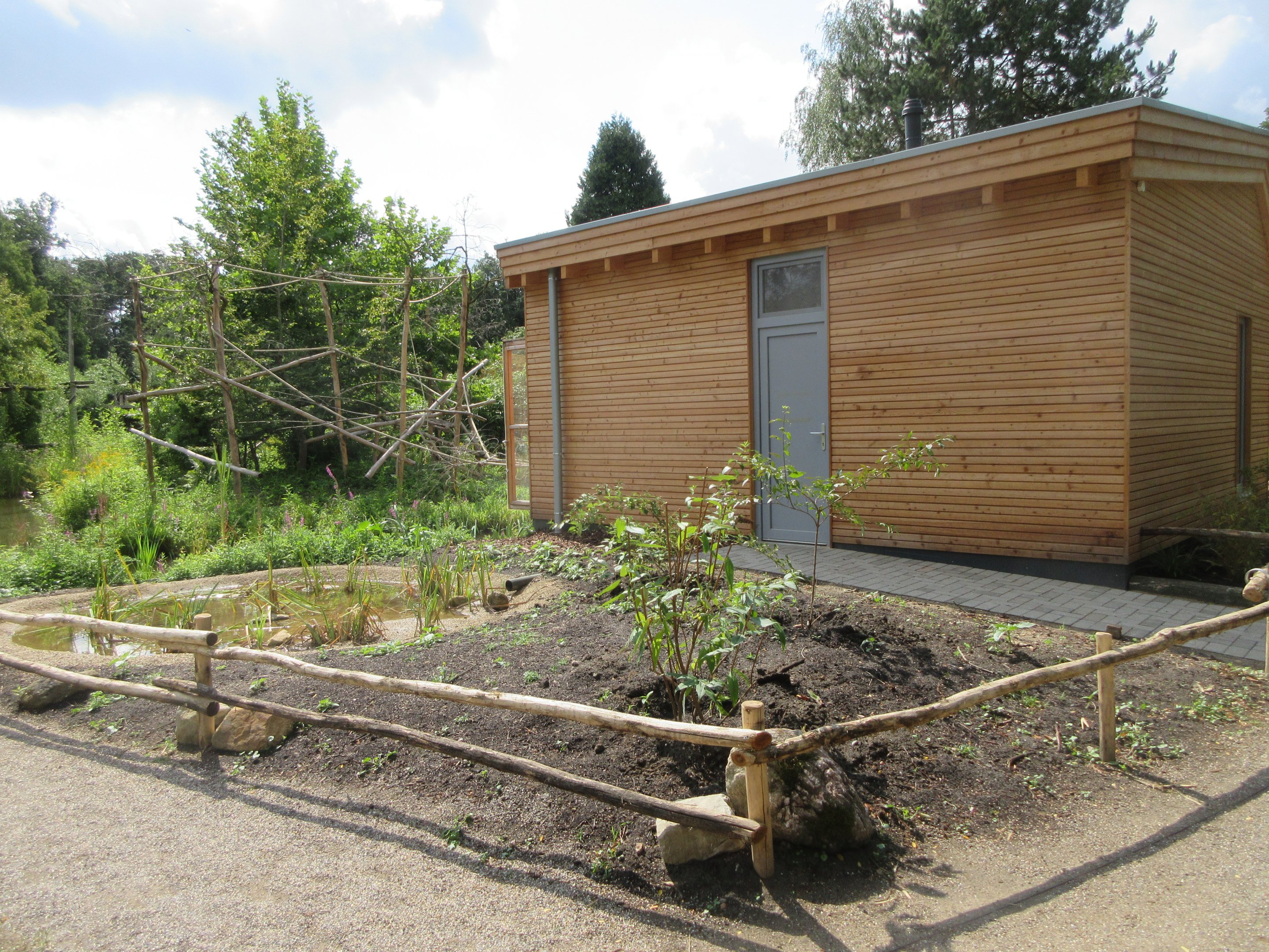 Cotton-top Tamarin House (New in 2019)