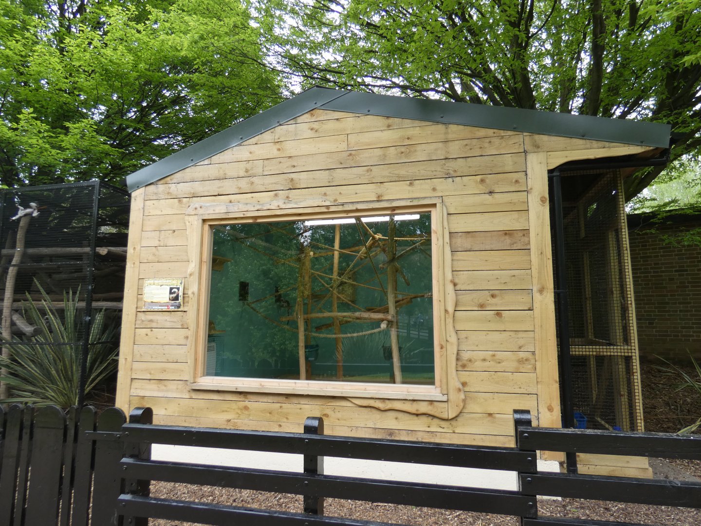 Cotton-top tamarin house