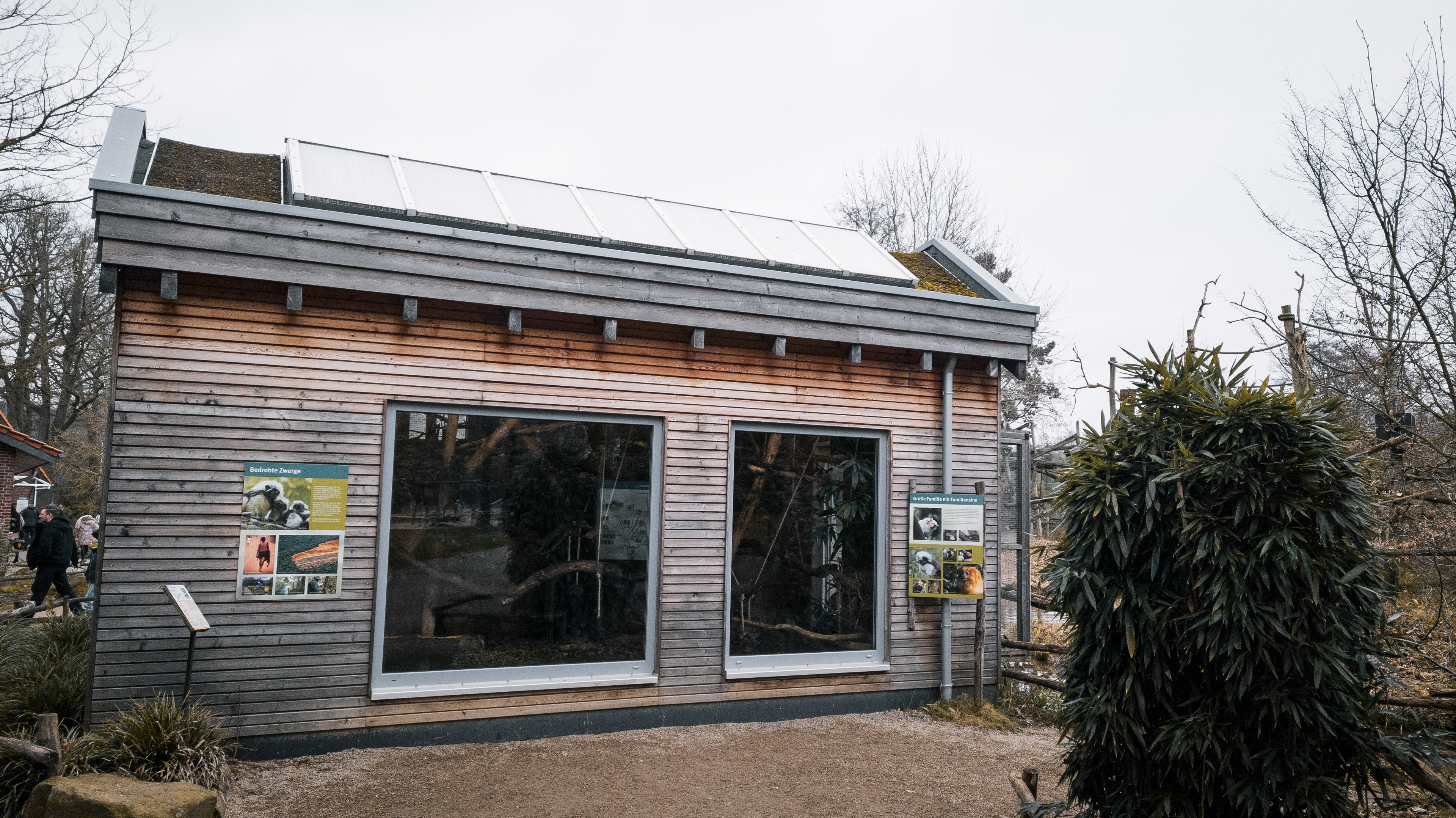 Cotton-Top Tamarin house