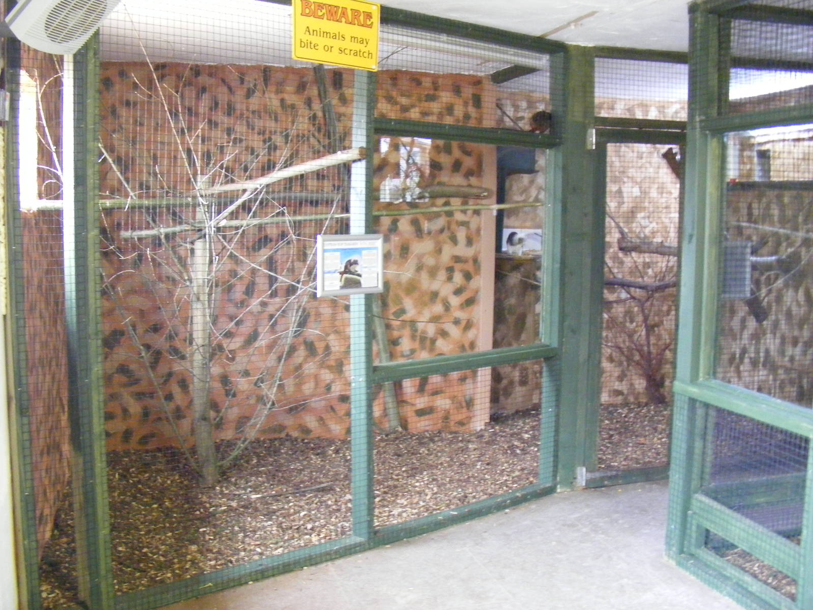Cotton-top tamarin indoor enclosure at Noah's Ark Zoo Farm, 5 March 2011