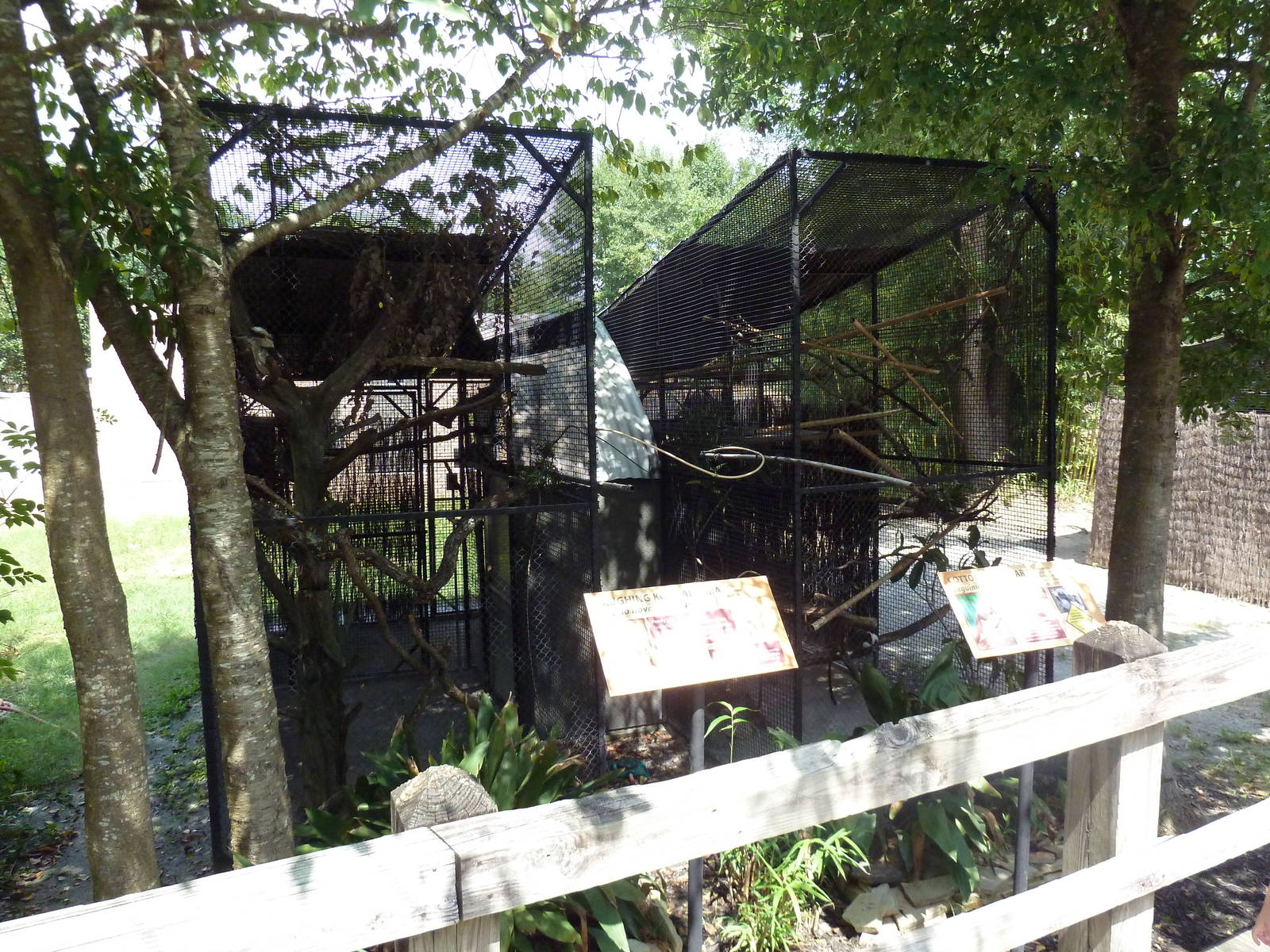 Cotton-Top Tamarin + Kookaburra Exhibits