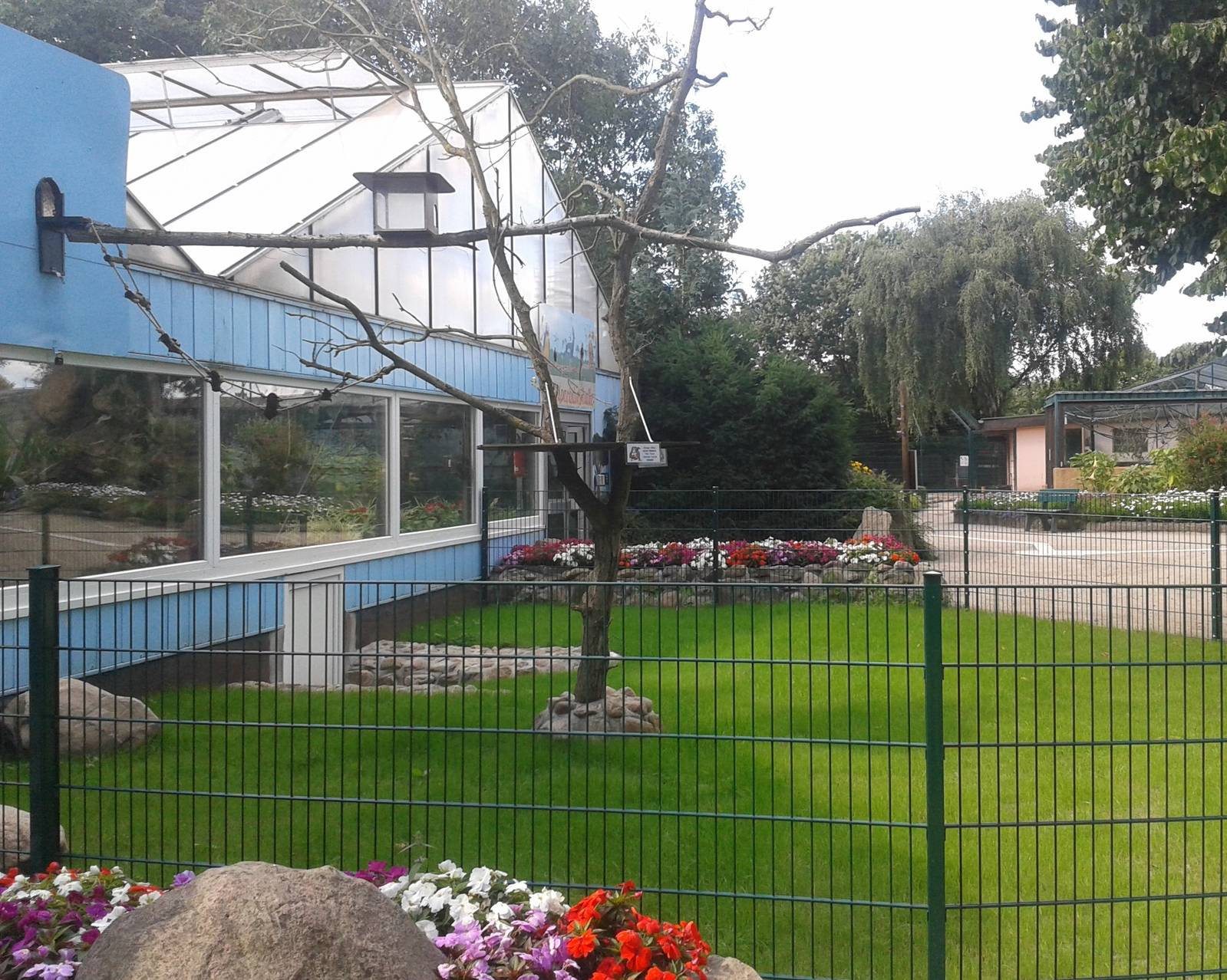 Cotton-top tamarin outdoor enclosure