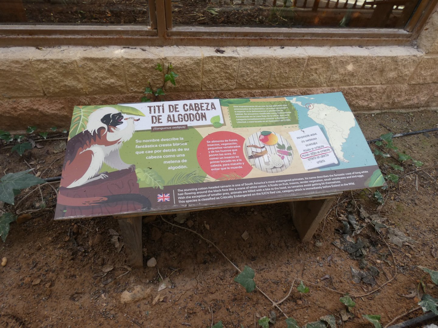 Cotton-top Tamarin Signage