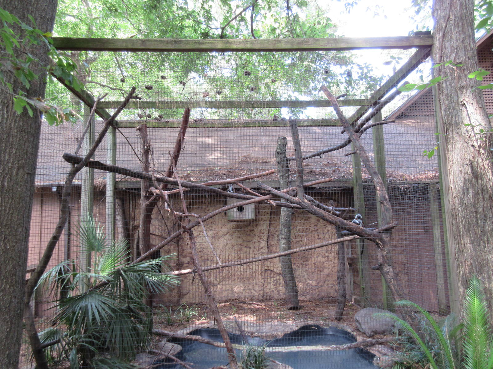 Cotton-Top Tamarin/Two-Toed Sloth Exhibit