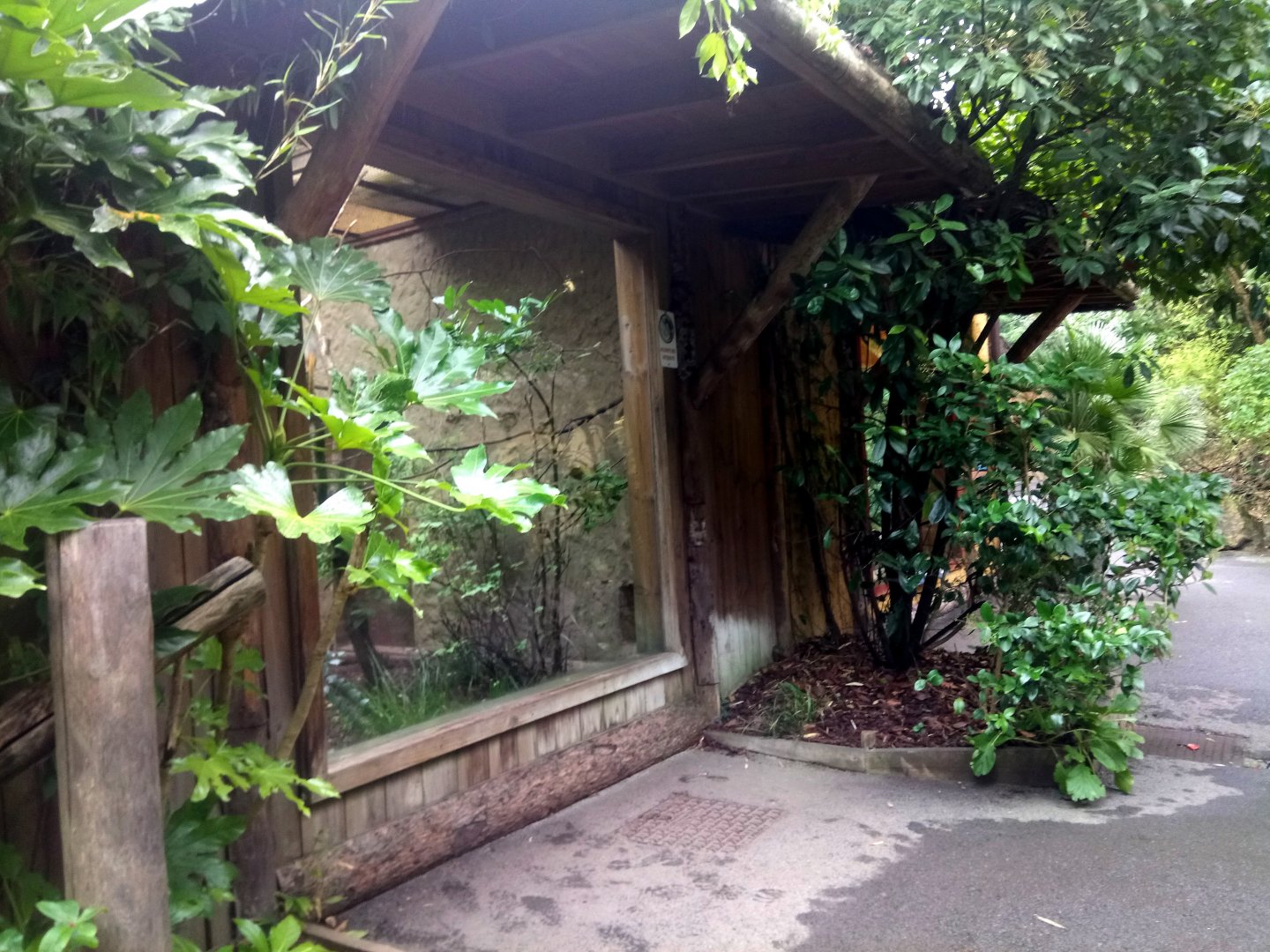 Cotton-top Tamarins Exhibit